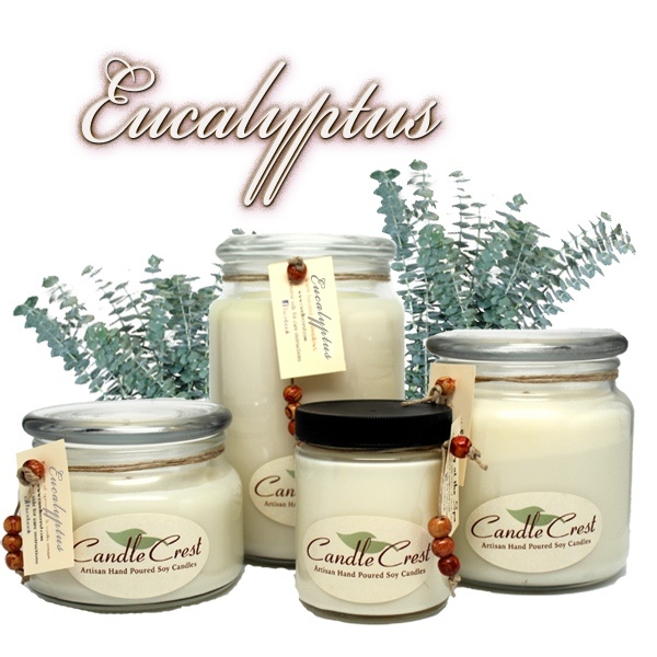 Eucalyptus Scented Soy Candles by Candle Crest Soy Candles Inc