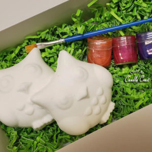 Bath Bomb Paint Kit - Owl Love Birds - By Judakins Bath & Bod