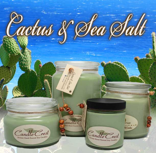 Details about   Cactus and Sea Salt 116 Ounce Country Jar Handmade Soy Candle 